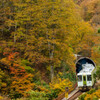 トンネルを抜けると、そこは秋だった