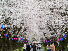 春の到着点