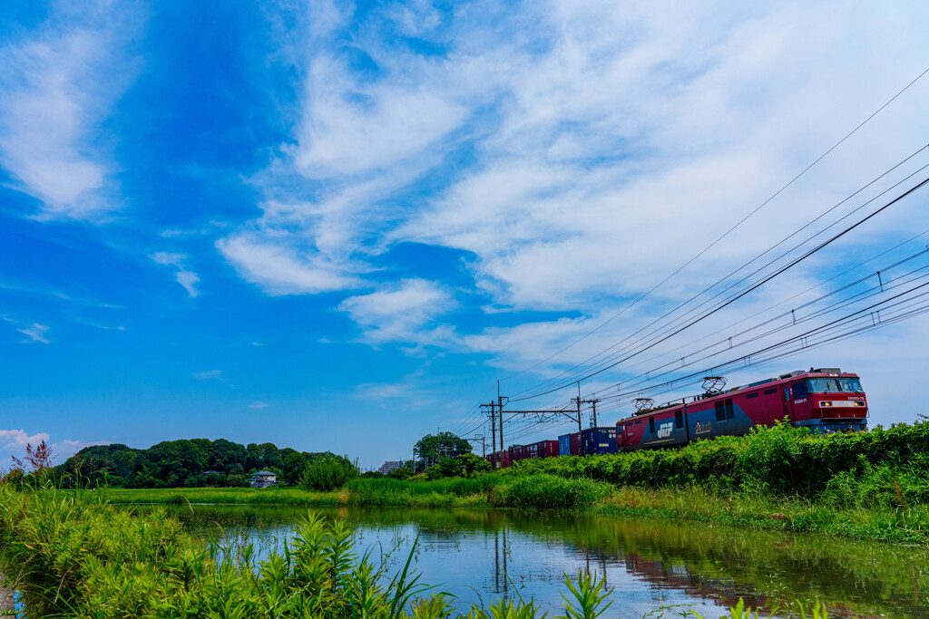 青空に金太郎 by toshiboo （ID：13582776） - 写真共有サイト:PHOTOHITO