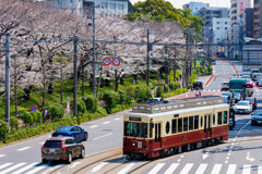 東京さくらトラム
