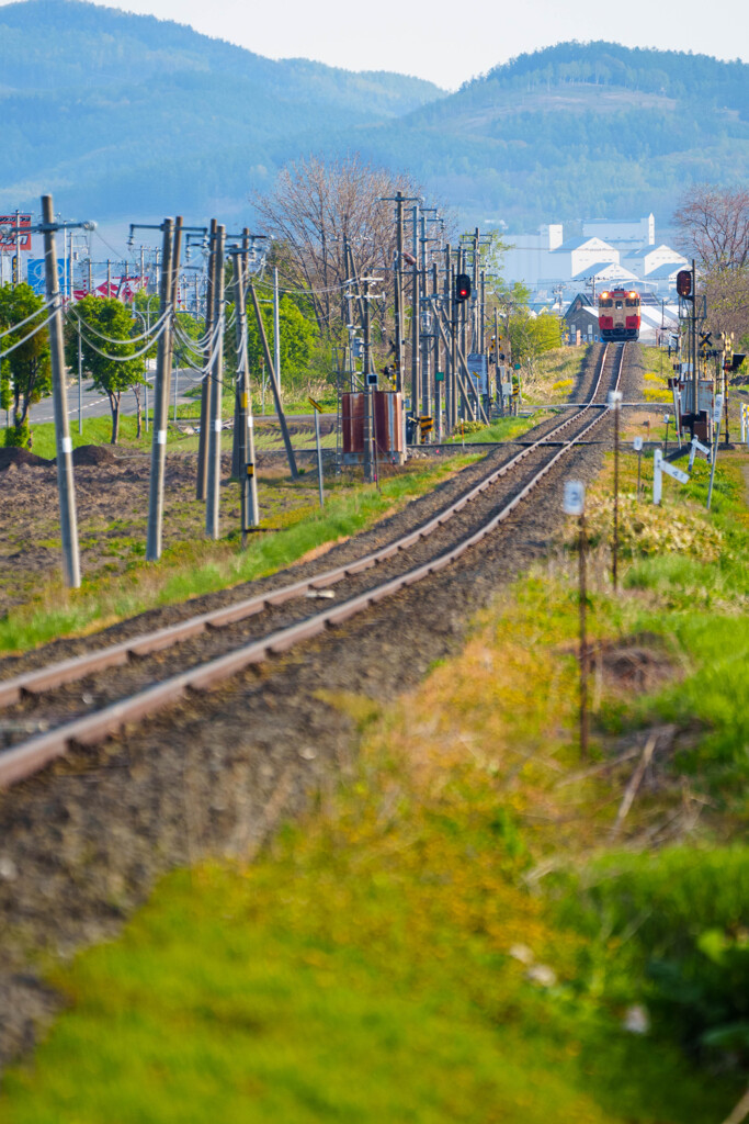 畝る鉄路