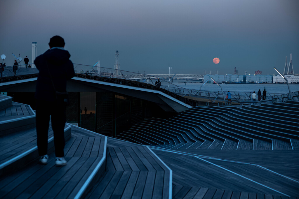 PIER 8/10