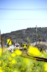 いすみ鉄道05