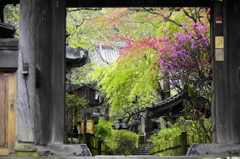 鎌倉、雨20120414_001_DA18-135