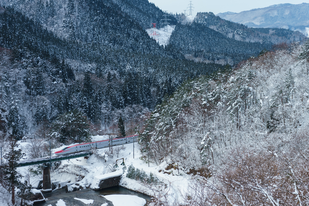 雪の仙岩峠