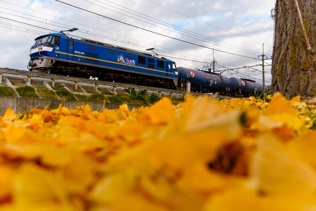 いつもの公園、がんばる機関車