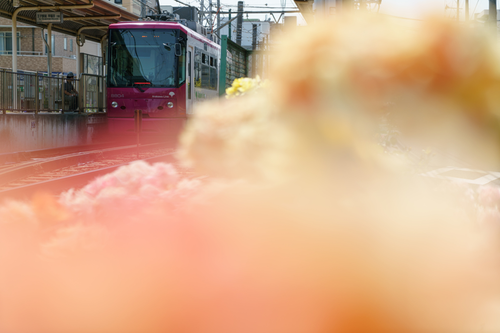 彩りに包まれて