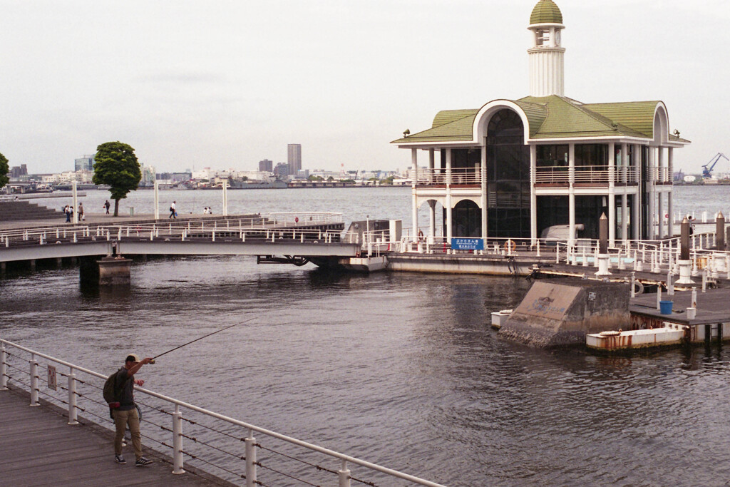 Bayside walk