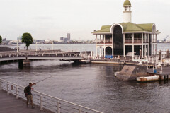 Bayside walk