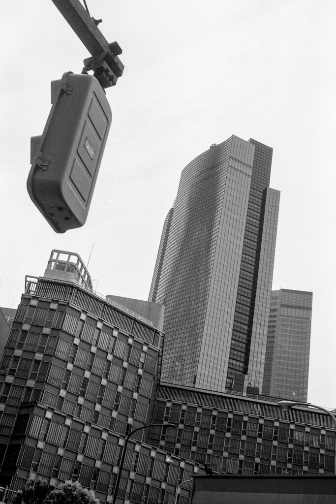 動脈