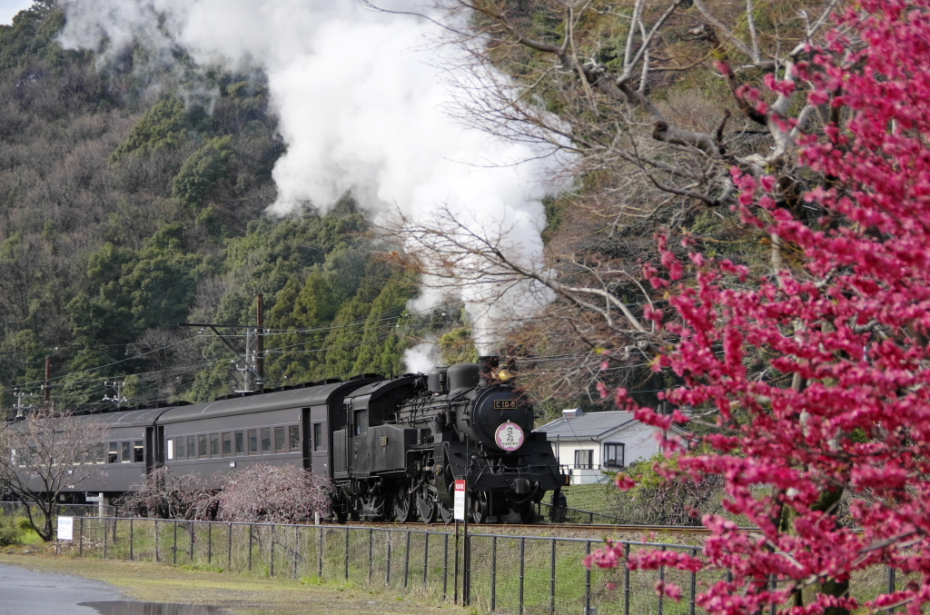大井川鉄道、雨のち晴れ09