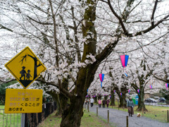 春の到着点