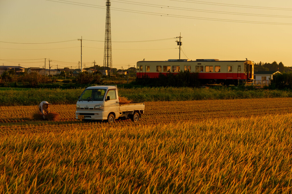 田園夕景