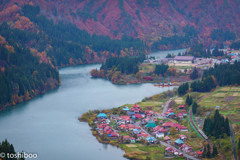 里山の秋