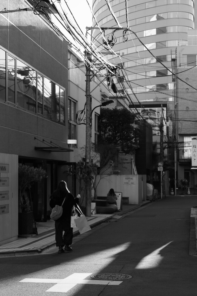 冬のひかり