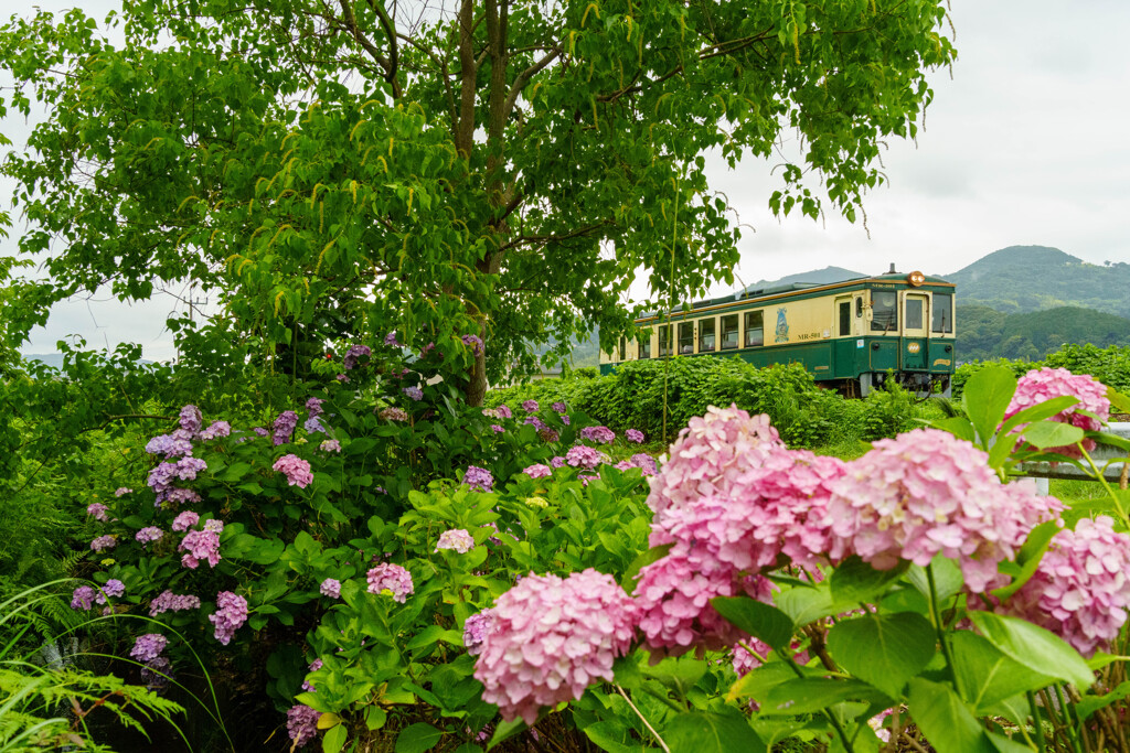 松浦鉄道遠征記
