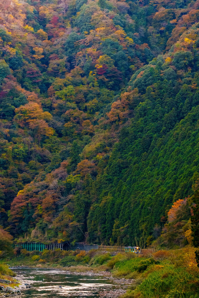 久慈川と共に