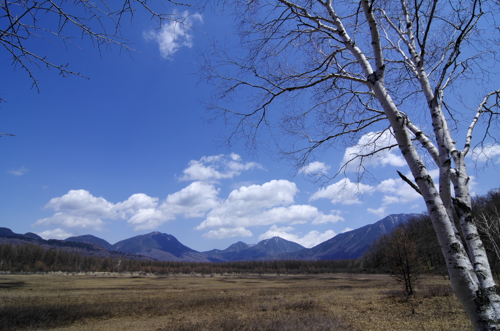 奥日光20120505_006_DA12-24