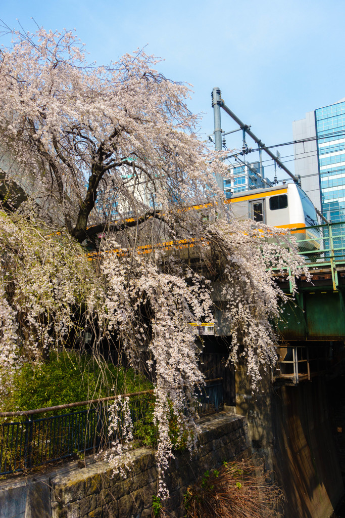 小石川見附跡