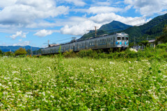 秋里を往く