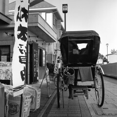 モノクローム