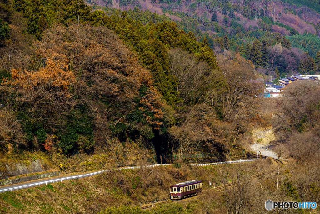 晩秋里山