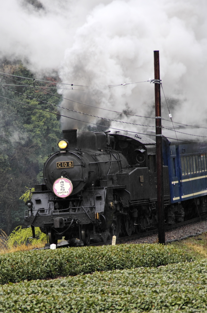 大井川鉄道、雨のち晴れ01