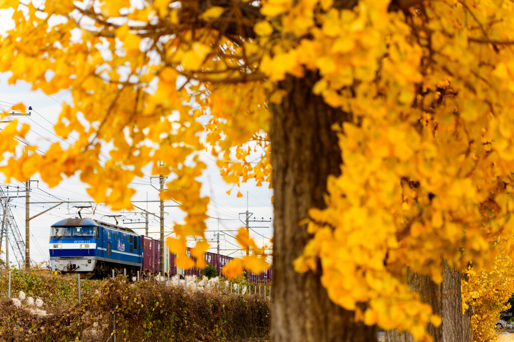 いつもの公園、がんばる機関車