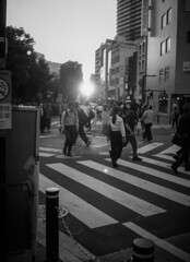 夕暮れの交差点で君を待つ