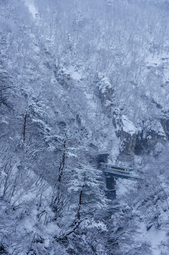 鳴子雪渓