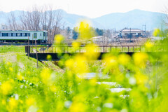 春の小川