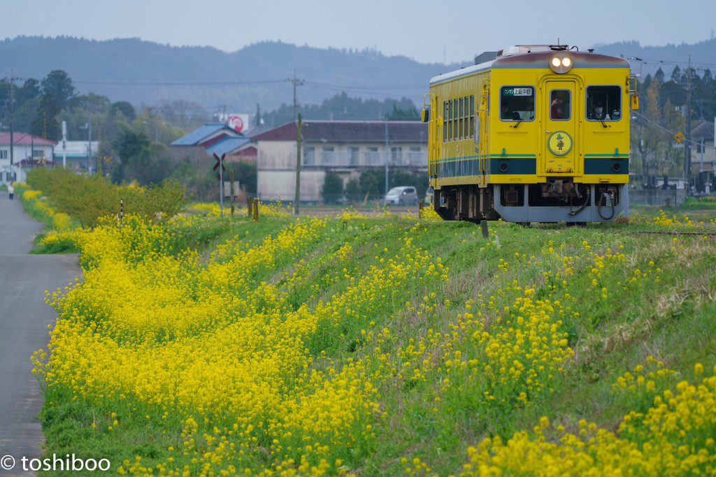 しあわせの路