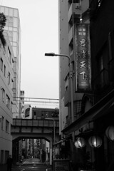 神田川雨情