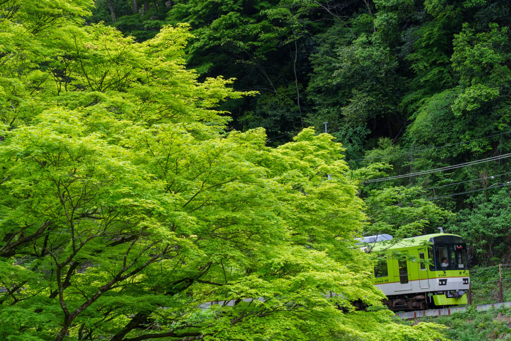 GREEN DA･KA･RA
