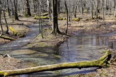 奥日光20120505_004_DA18-135