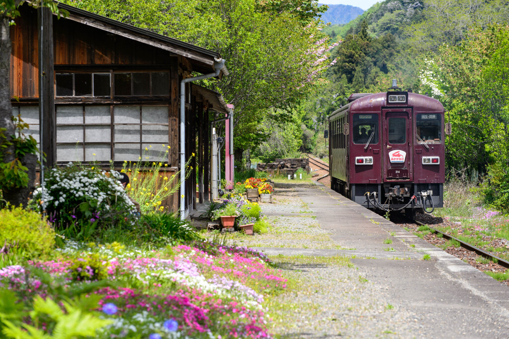 春の駅