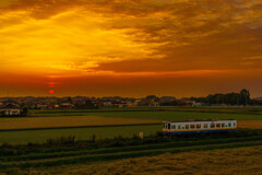 紅い夕陽と黄金の大地