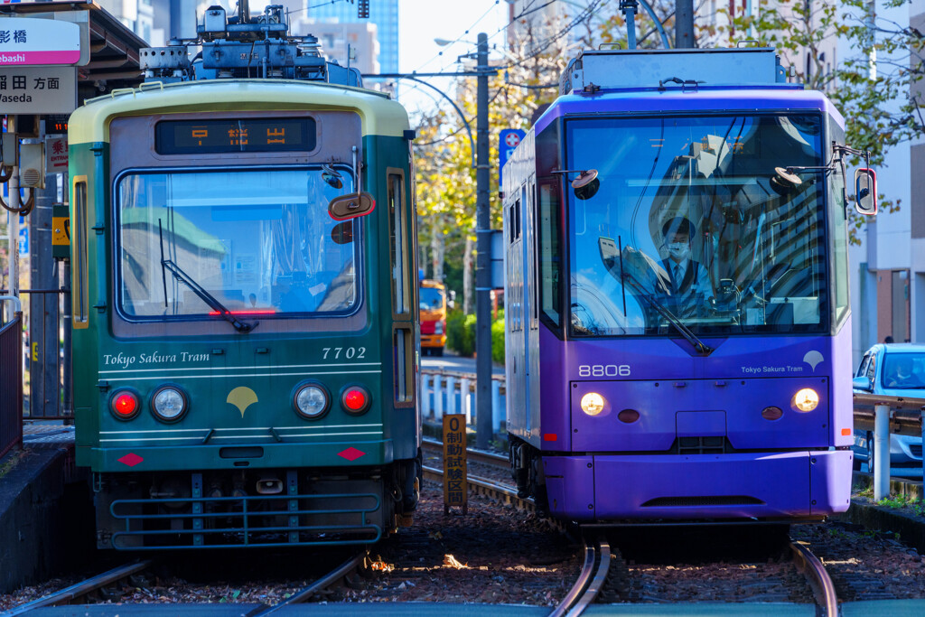 Tokyo Sakura Tram 1/3