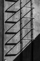 Monography