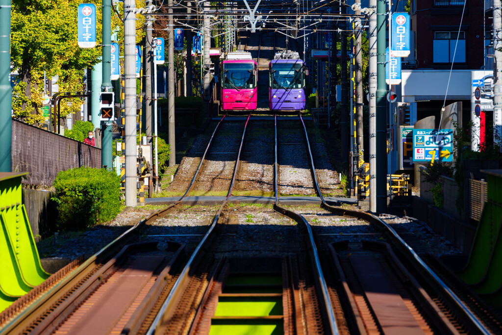 Tokyo Sakura Tram 3/3