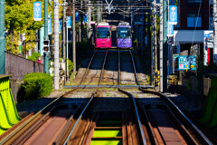 Tokyo Sakura Tram 3/3