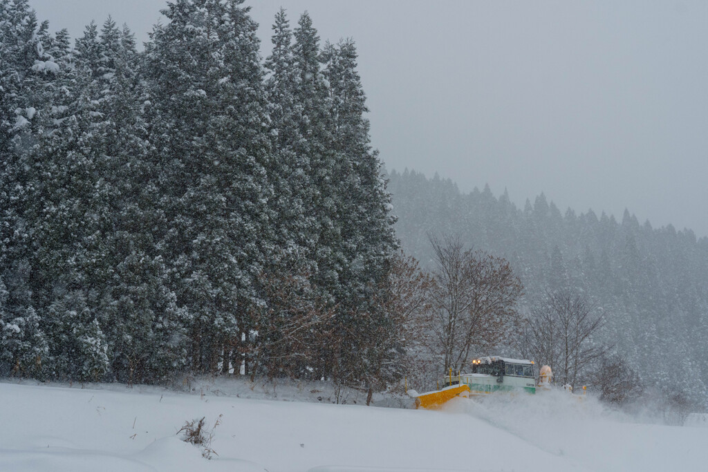 雪と戦う 2/5