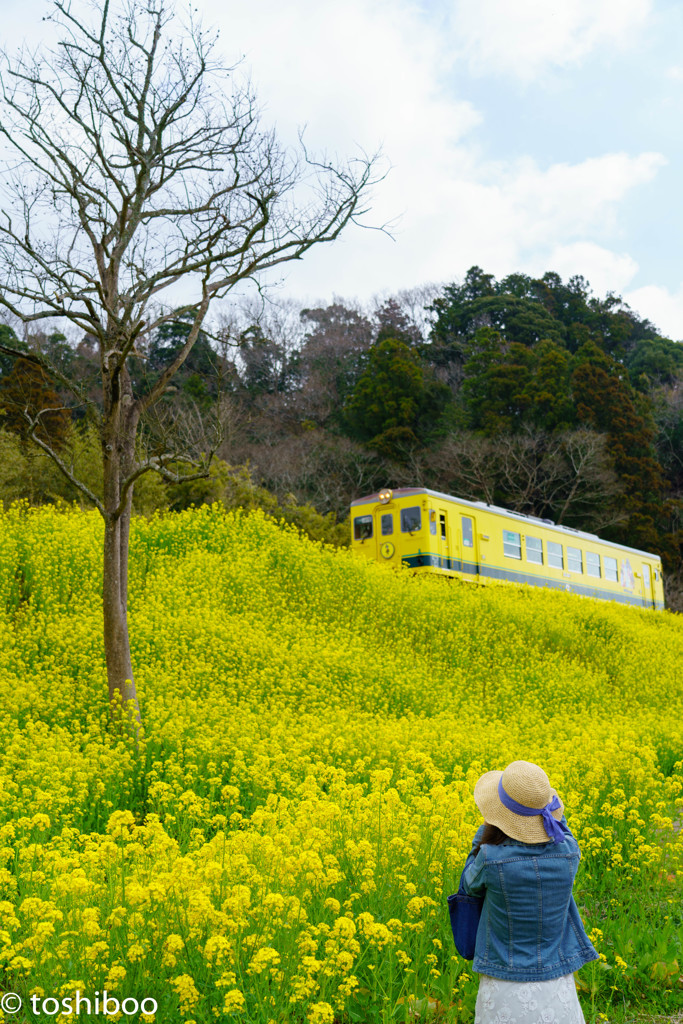 ムーミンに会いたくて