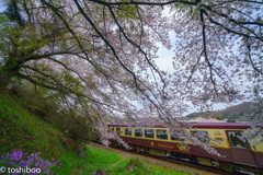 Watarase