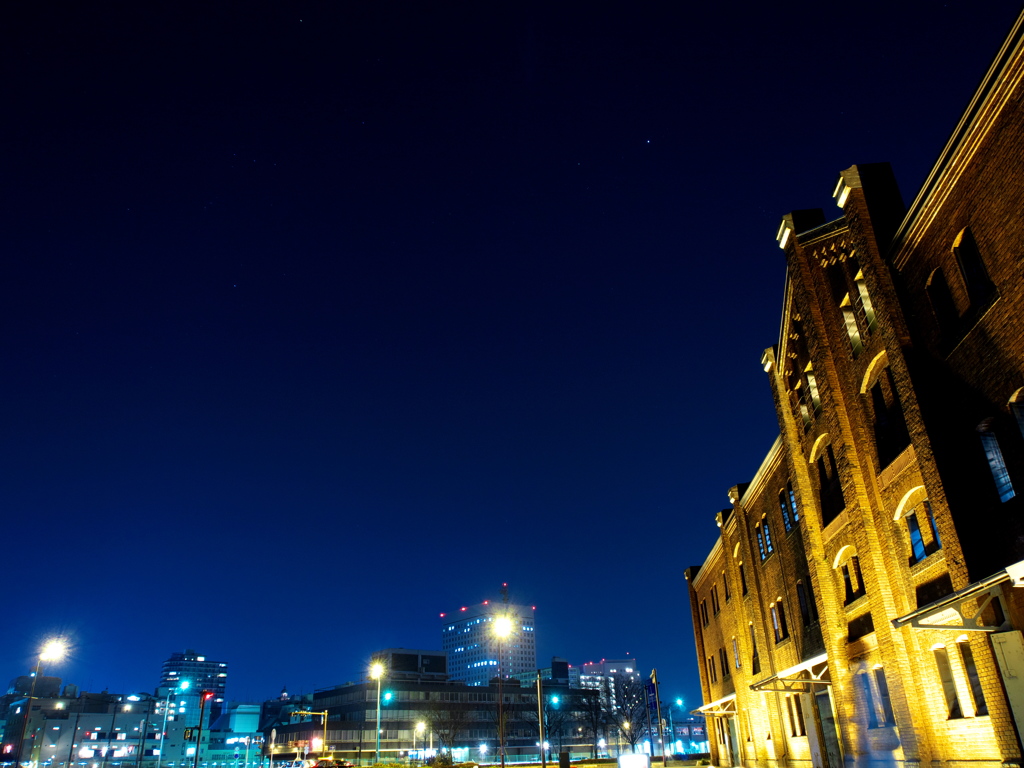 オリオン座が見えますか