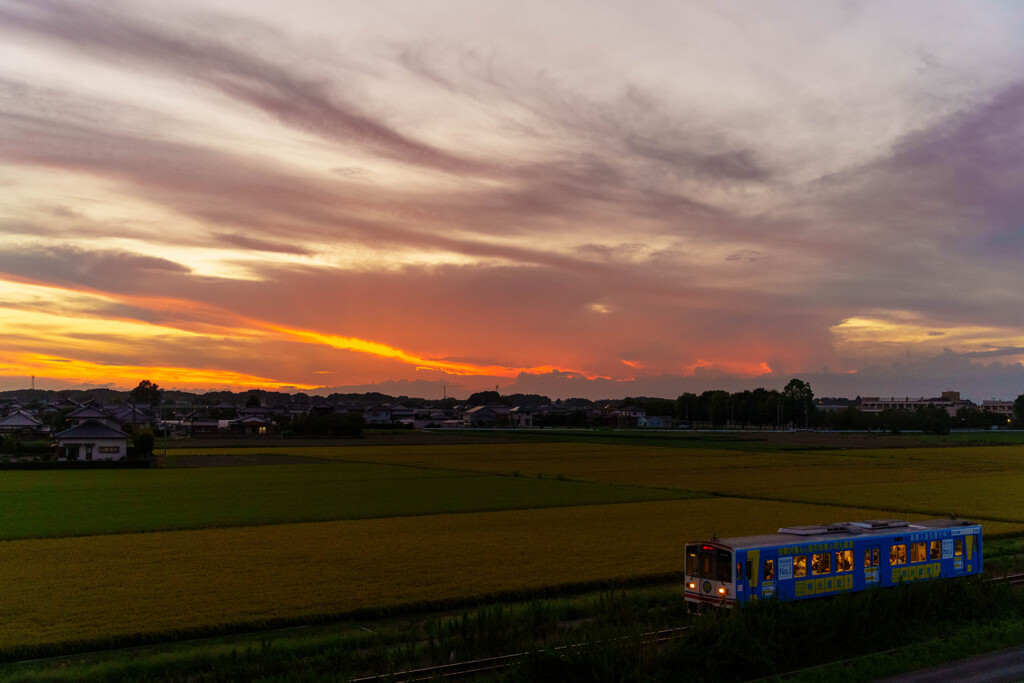夕焼け小焼けで