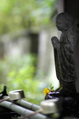 鎌倉、雨20120414_003_---