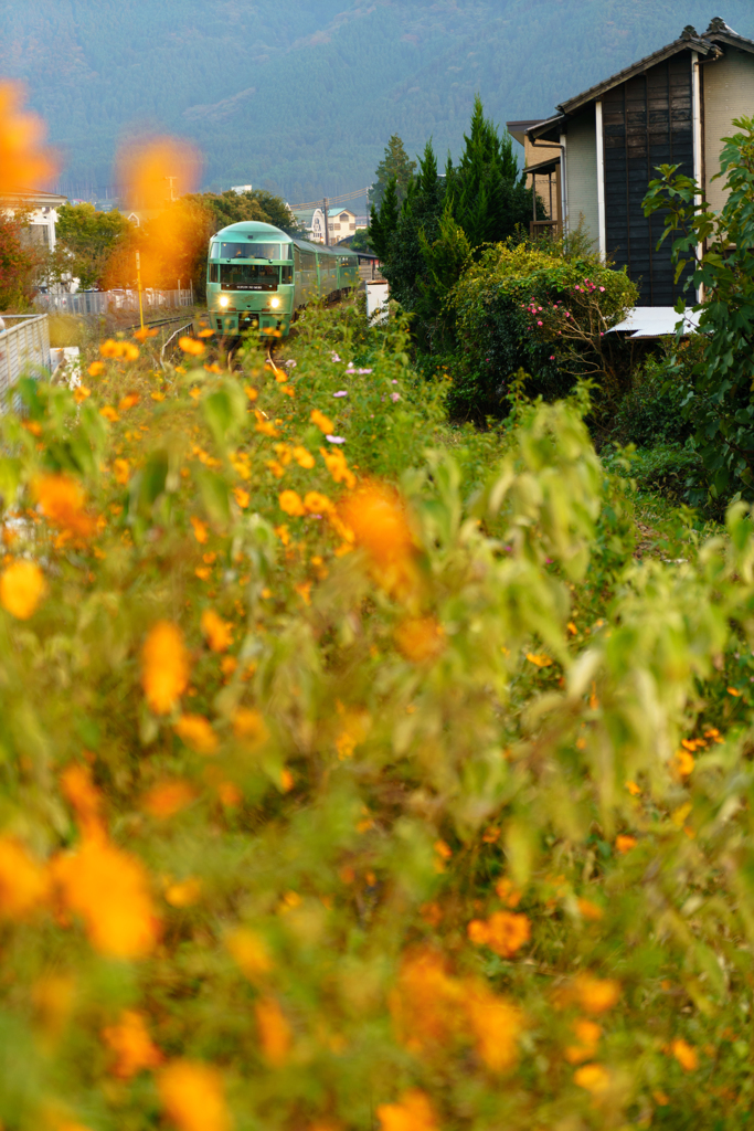 季節の花を添えて