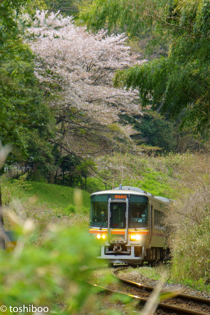 見守られて