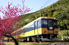 大井川鉄道、雨のち晴れ12